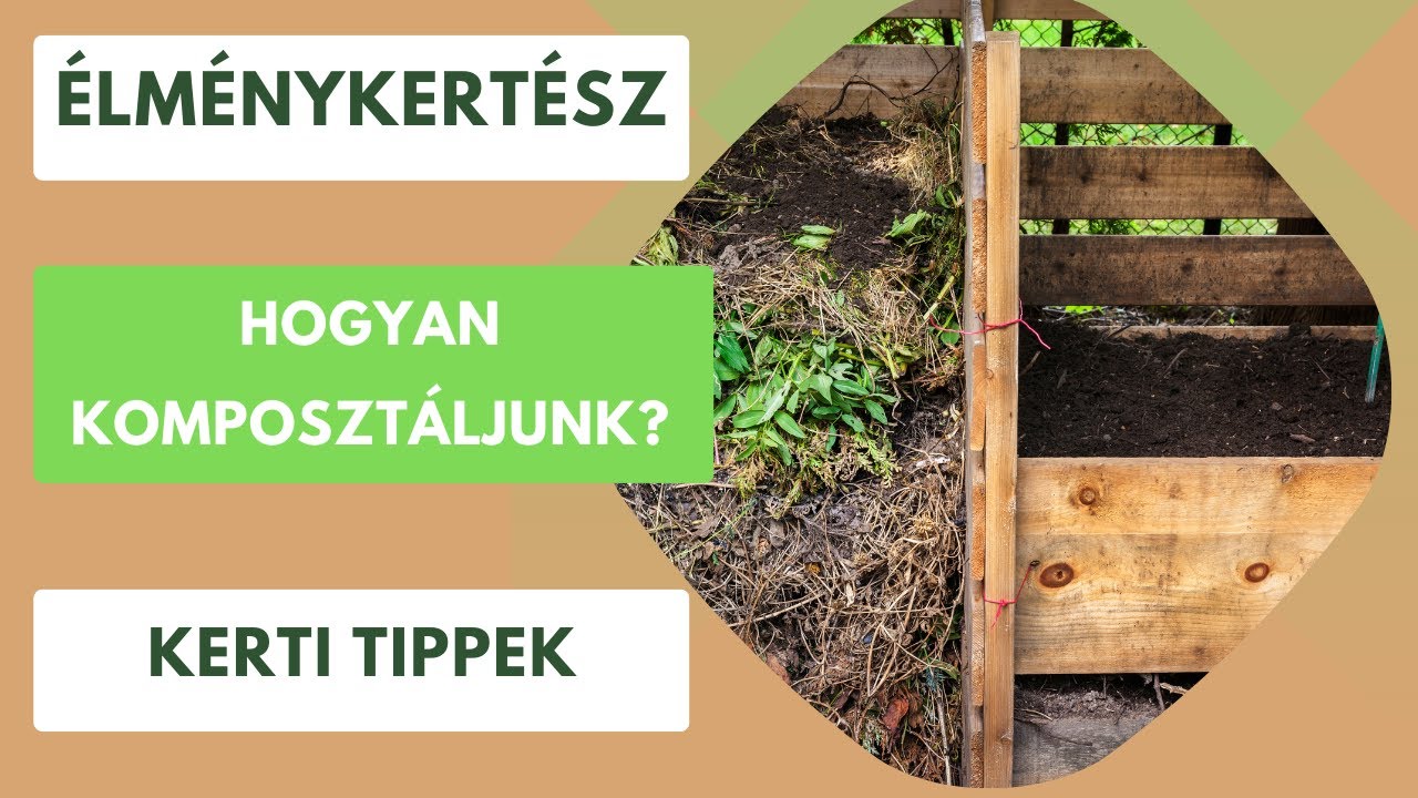 Hogyan is komposzt&aacute;ljunk?🍂🪵🍃