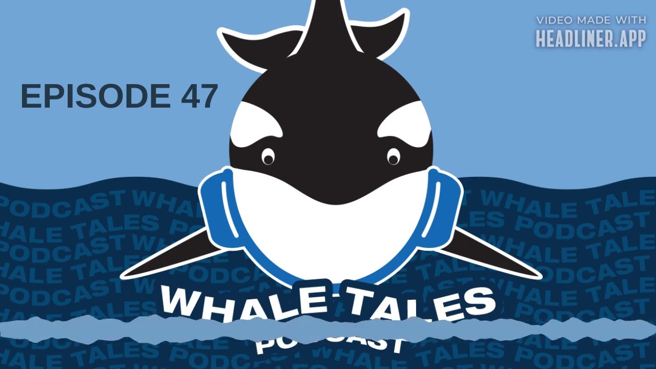 Whale Tales Podcast Episode 047-Sei/Bryde&rsquo;s/Omura&rsquo;s/Eden&rsquo;s/Rice&rsquo;s Whales