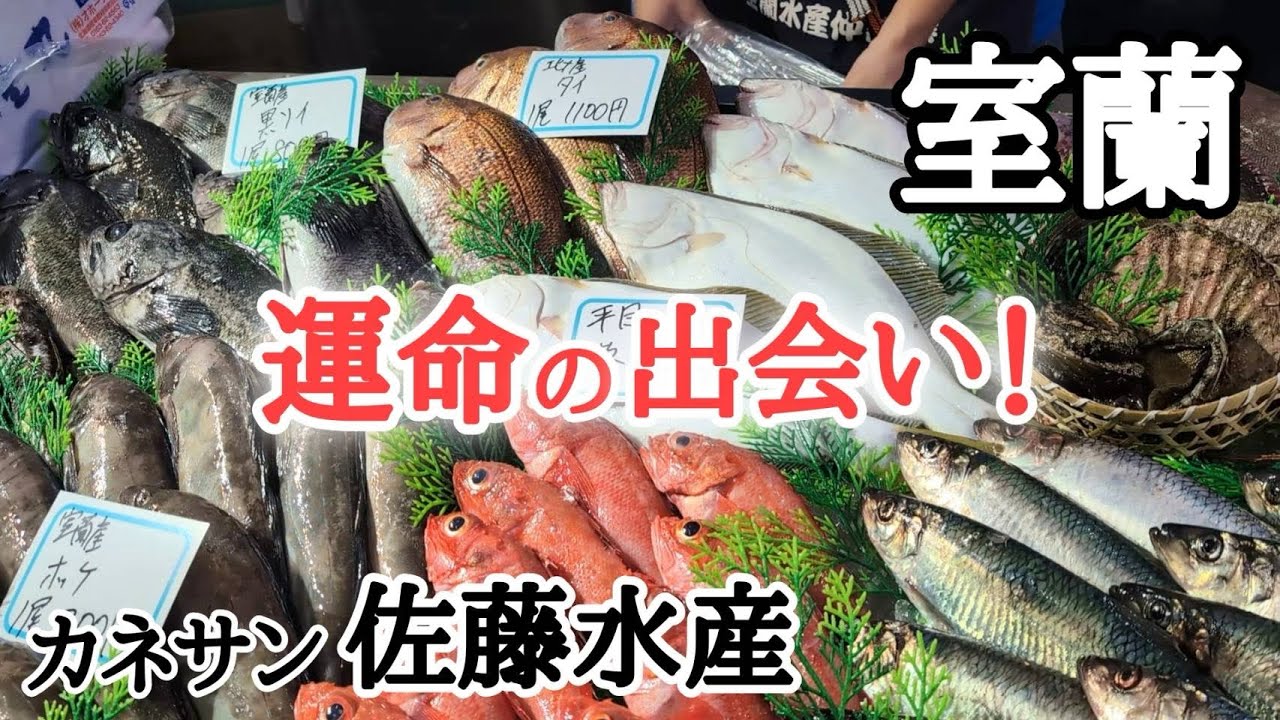 【北海道】カネサン佐藤水産卸売センター🐟鮮度抜群でコスパ最高！感動の味🥹金・土限定営業のお店☝🏻