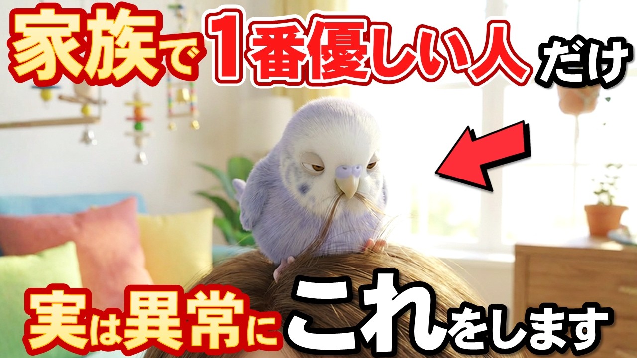 実はあなたの優しさに感謝してるインコだけが見せる5つの仕草