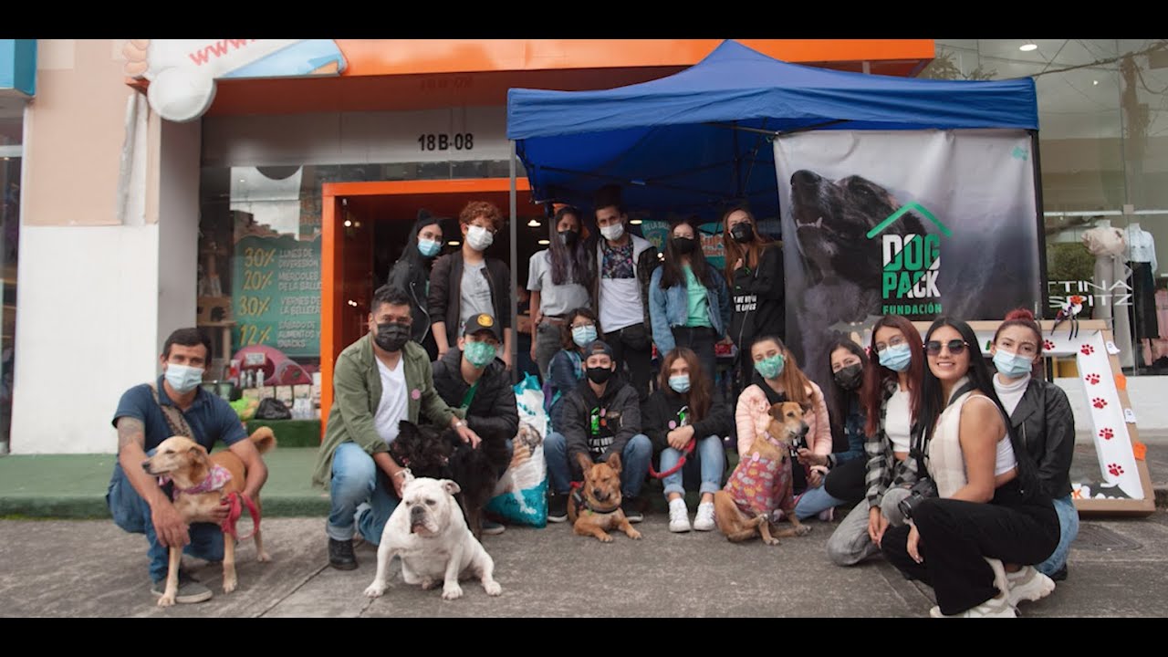 &iexcl;Adopta con Dogpack! Conoce todo sobre la adopci&oacute;n responsable