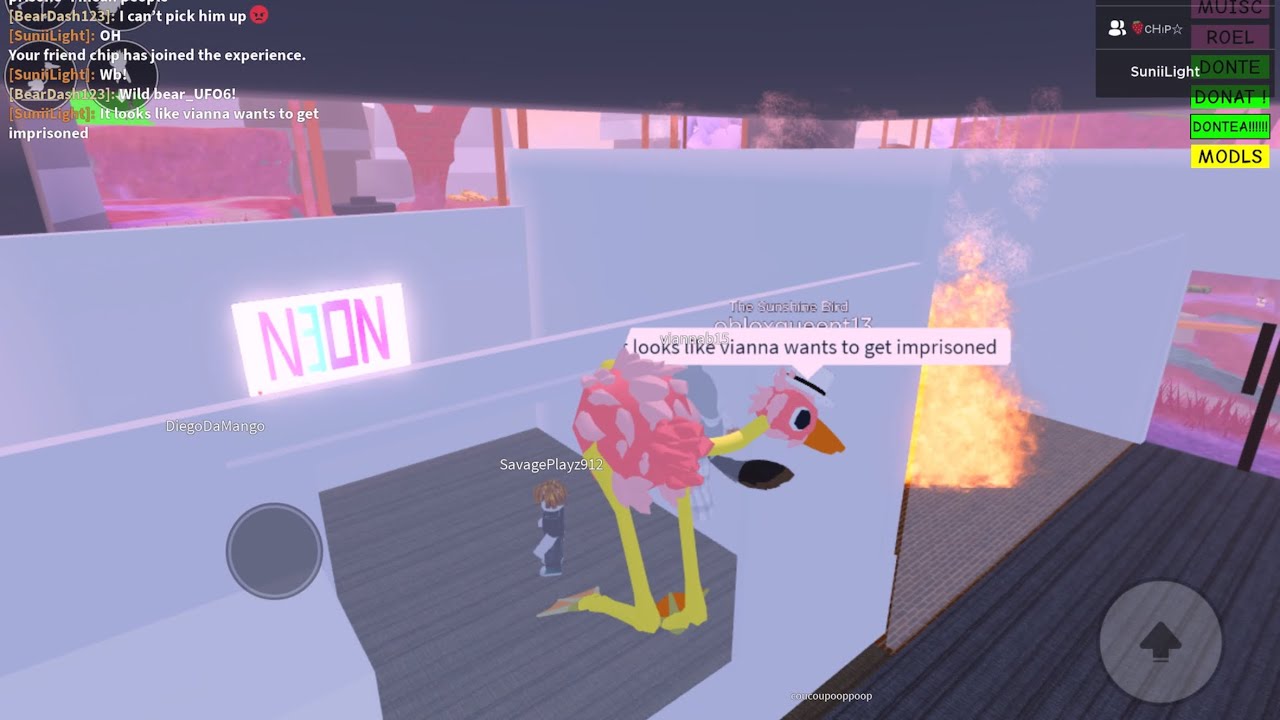 Roblox BIRD funny moments [#1]