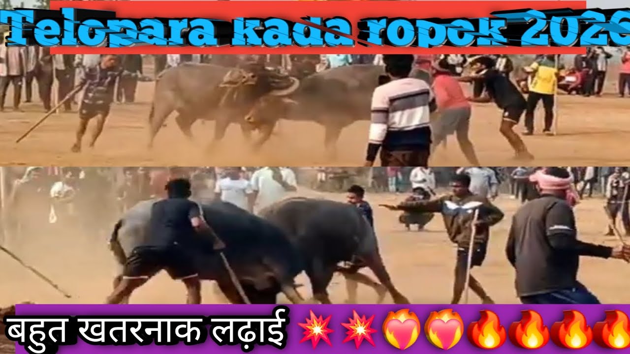 Telopara Kada ropok// at first qutar kada ropok💥🔥🔥🔥 #viralvideo #kadaropok #ytshortshttps 