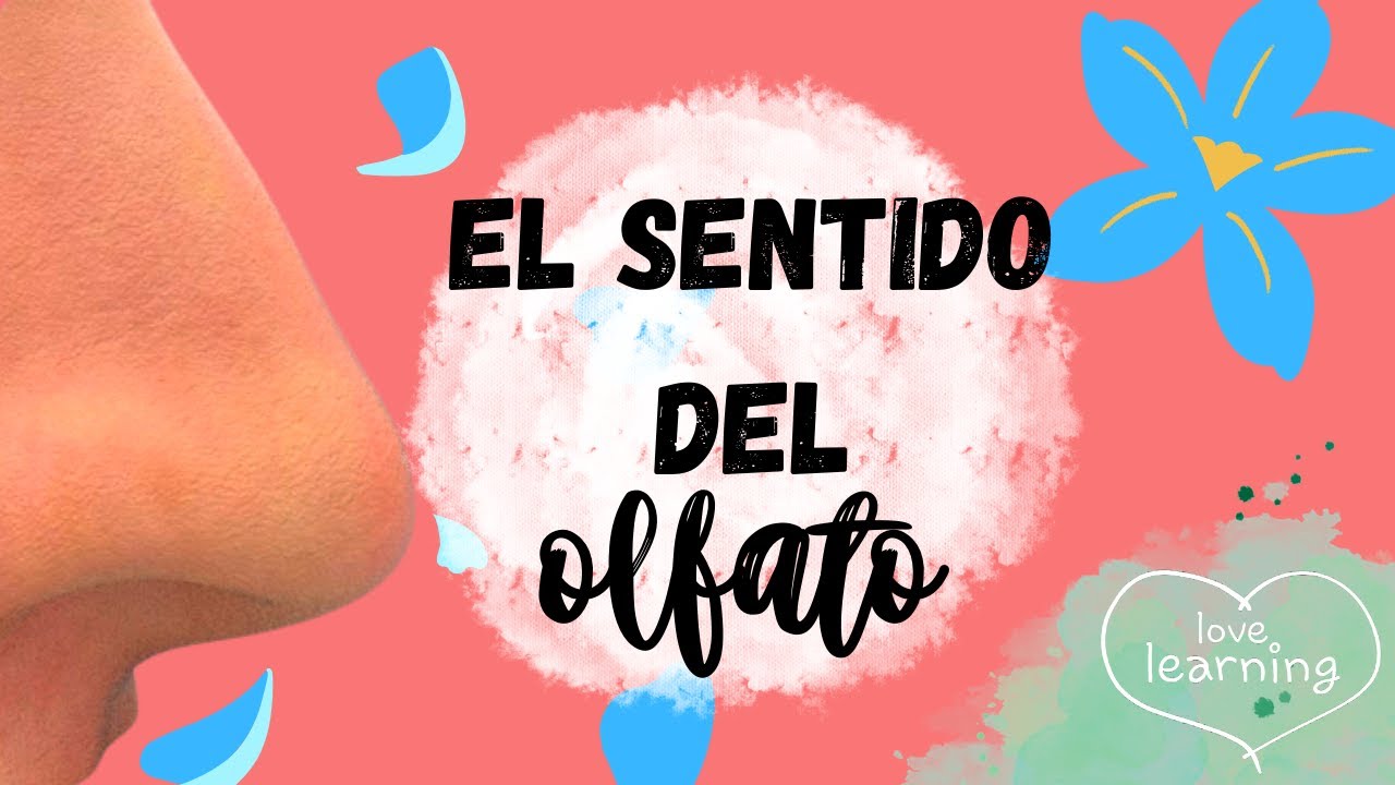 El olfato para niños - Los sentidos para niños