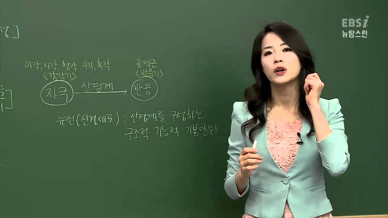 [뉴탐스런 생명과학 I] 33강 자극의 전달 (1)