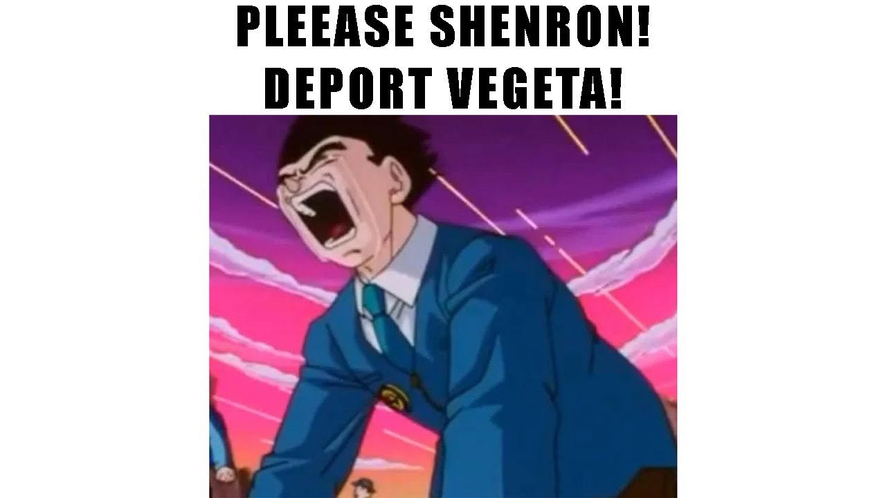 PLEEASE SHENRON! DEPORT VEGETA!