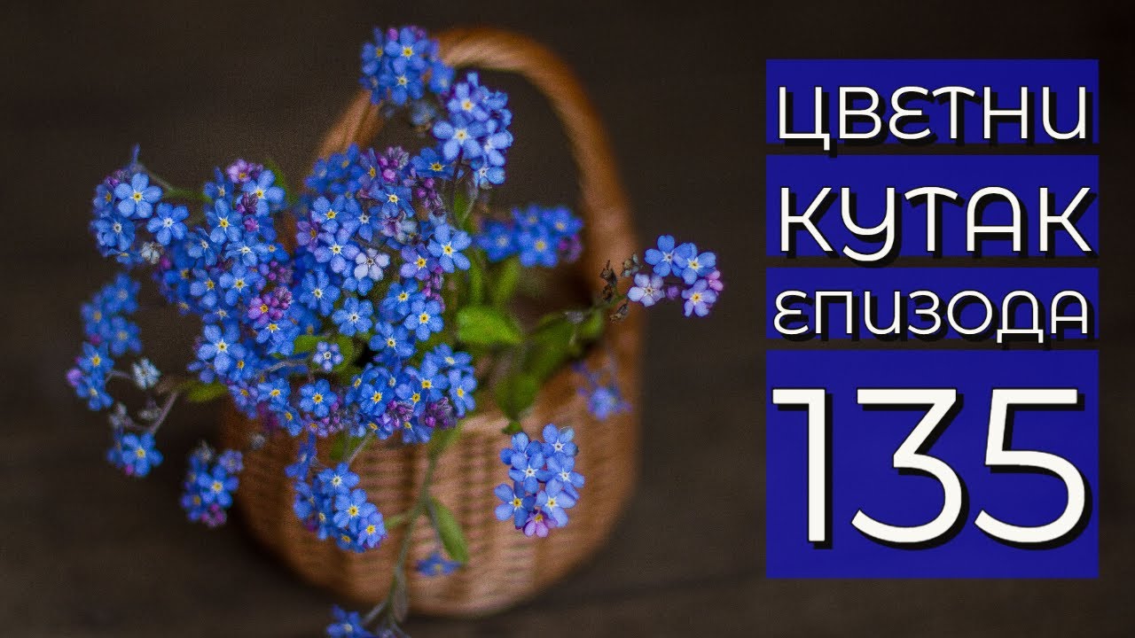 Cvetni kutak ep. 135 09.06.2022. Formijum, Tvoj Garden Centar, fuksija, fritelarija, Titelski breg