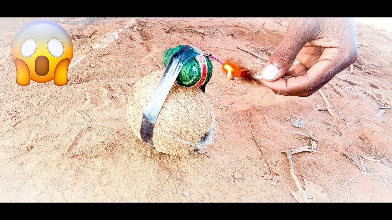 SUTLI vs COCONUT