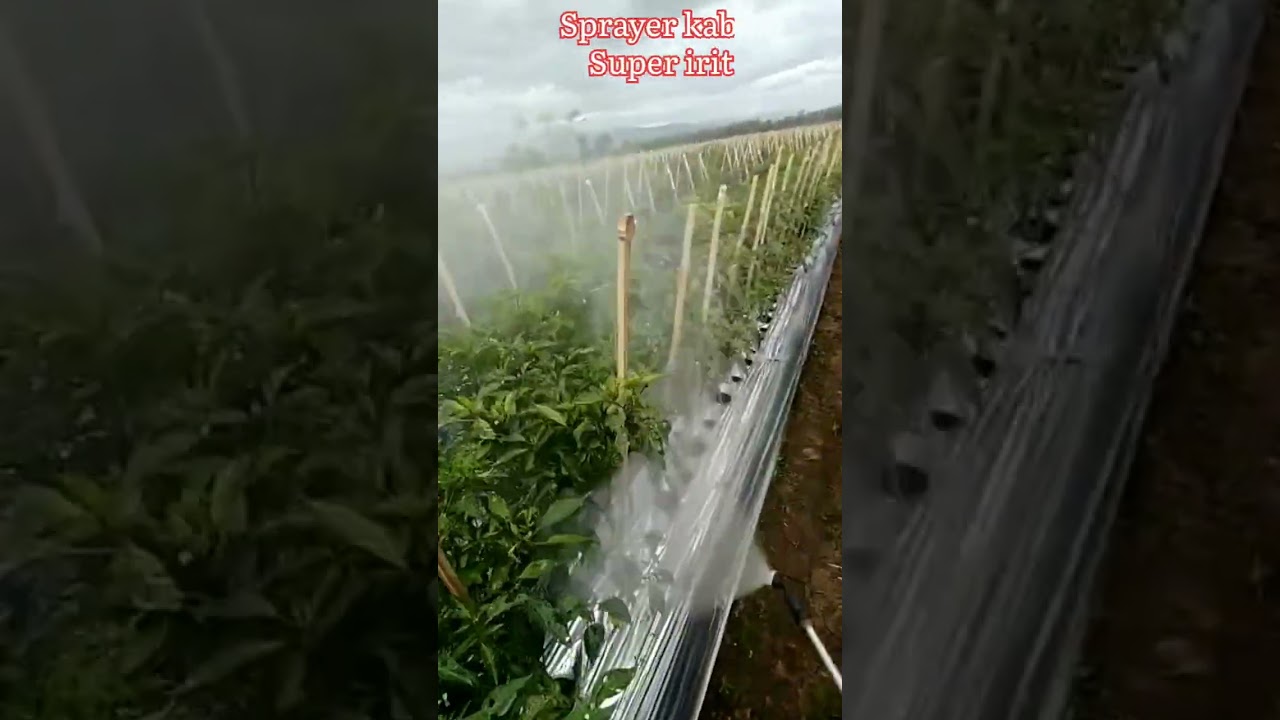 sprayer nozle kabut super irit & Tahan lama