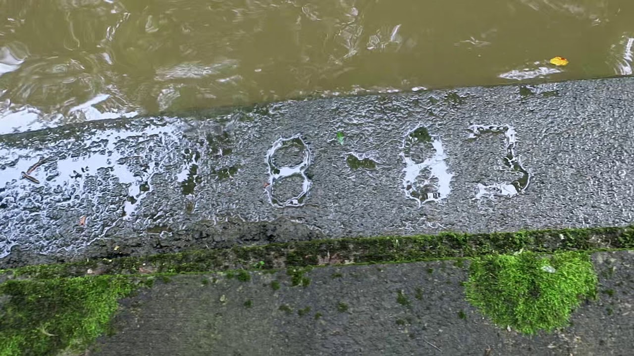 A medeley of rides and pictures of the canal