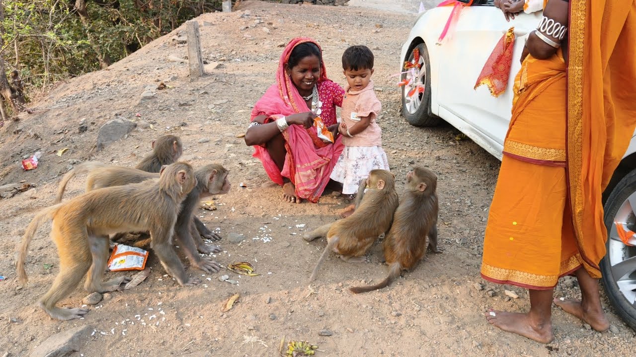 सातपुडा पर्वत रांगा नंदुरबार जिल्ह्यात अक्कलकुवा तालुक्यातील देवगोई घाट में का व्हिडिओ व्हायरल हुवा 