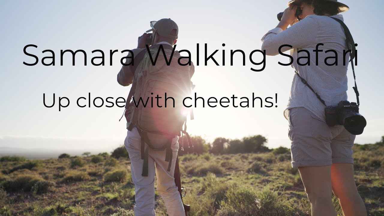 Samara Karoo Reserve Walking Safari