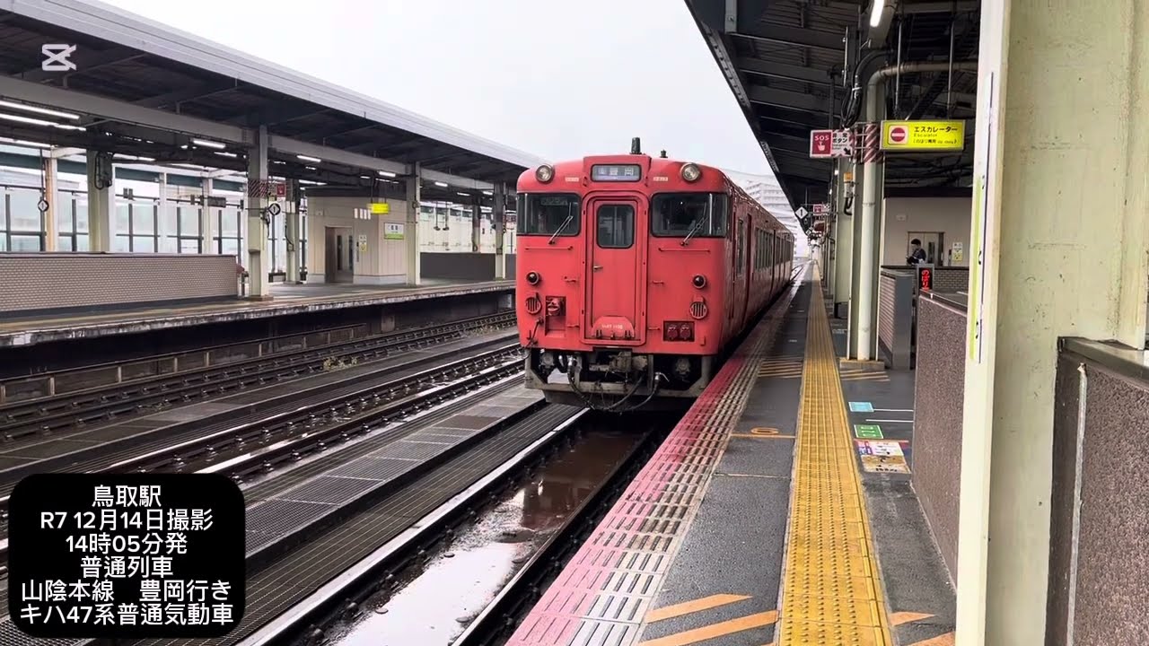 ユークリス🦚JR西日本山陰本線のキハ40・47系普通気動車を撮ってみた!#ユークtv #ユークtvサブ #鉄道 #キハ47系  #train #railway #automobile #山陰本線