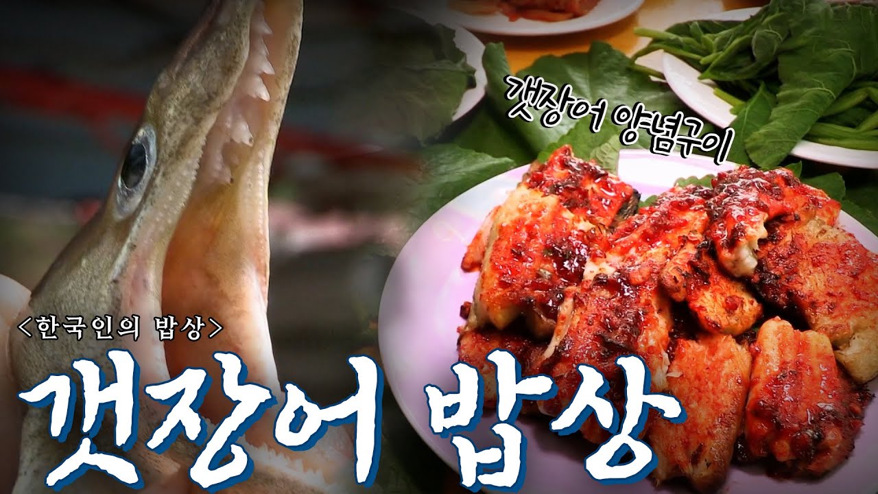 펄떡이는 바다의 힘을 먹는다 고성 '갯장어 밥상', Korean Food｜최불암의 한국인의밥상🍚 KBS 20140821