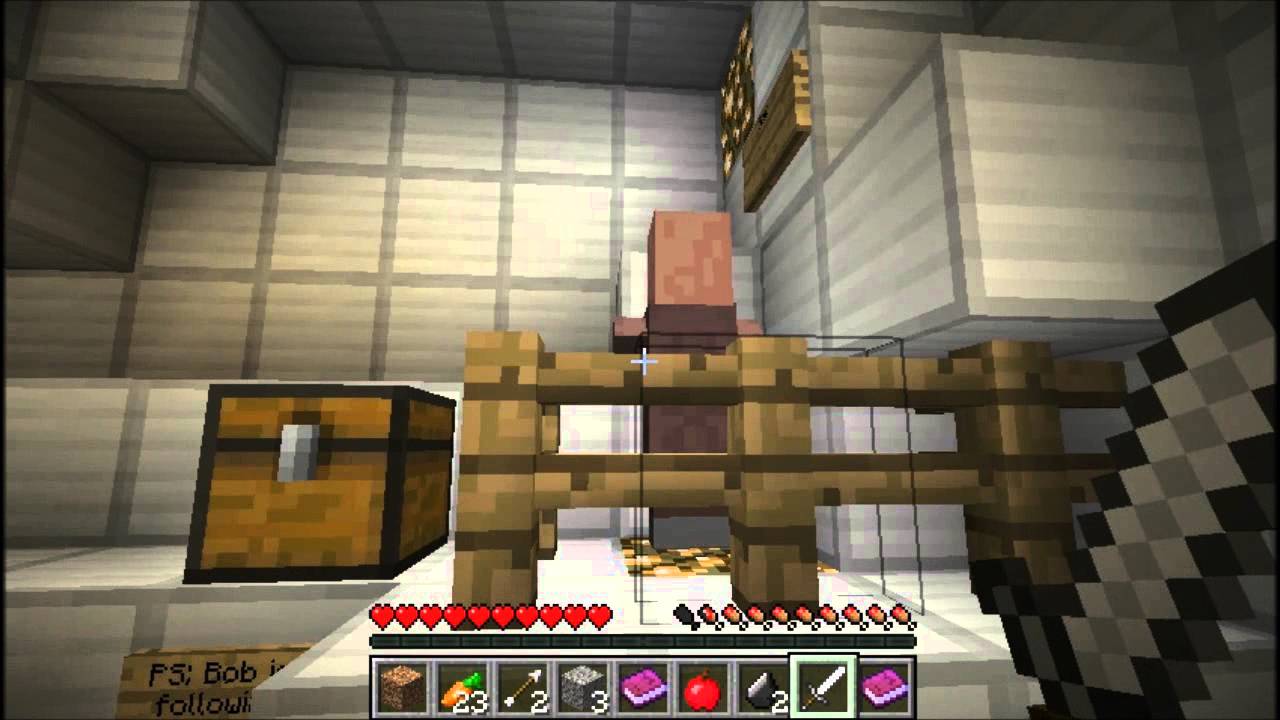 Minecraft- The Walking Steve