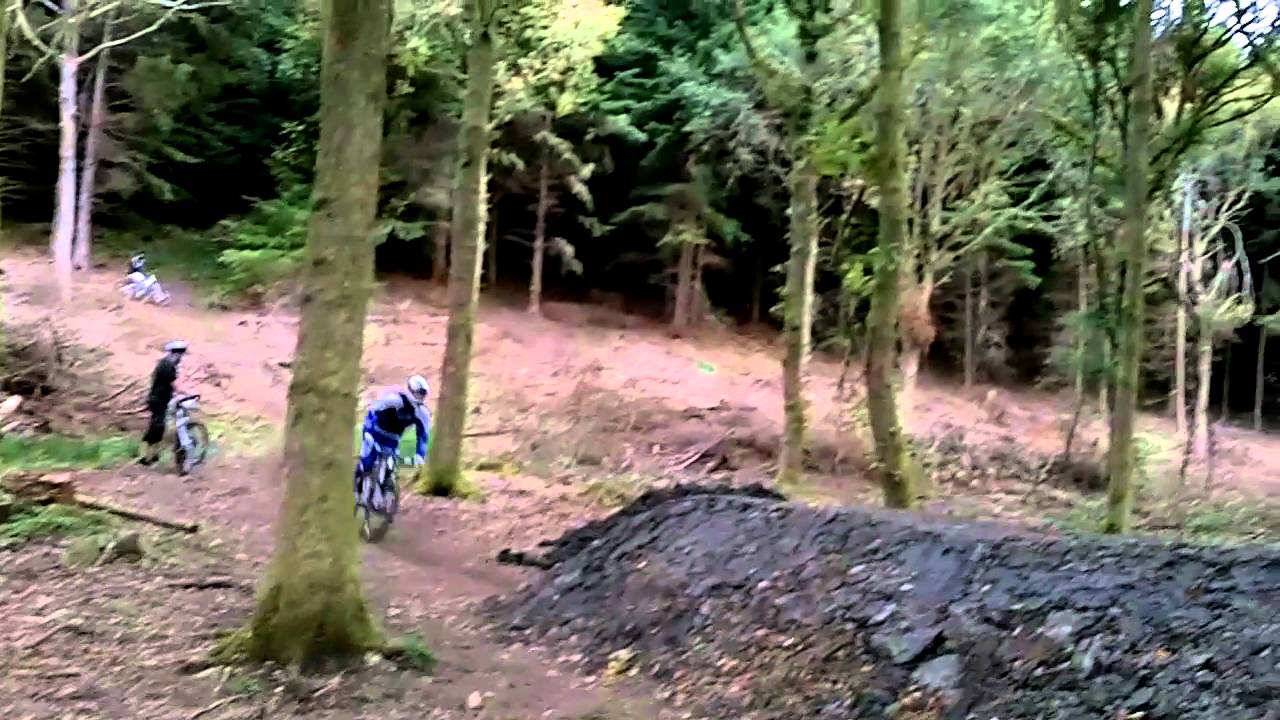 FOREST OF DEAN, FREE RIDE ONLY