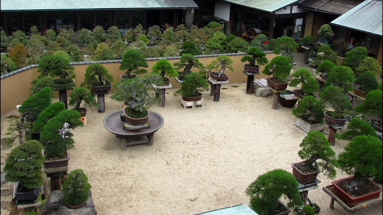 Shunka-en Bonsai, by Kunio Kobayashi