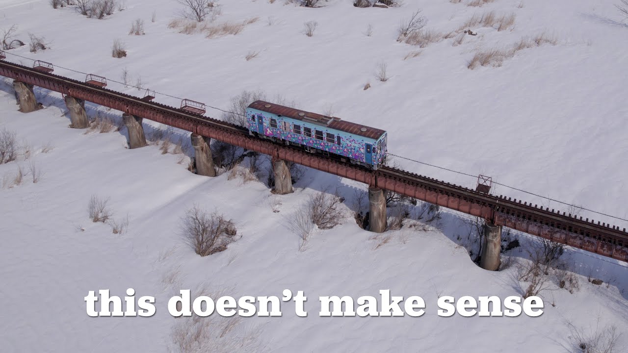 How Rural Japanese Trains Still Exist