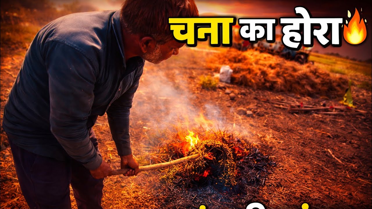 चना का होरा कैसे बारे ✅👍।                          #youtube#trending#vlog#8millionviews#trendingnow 
