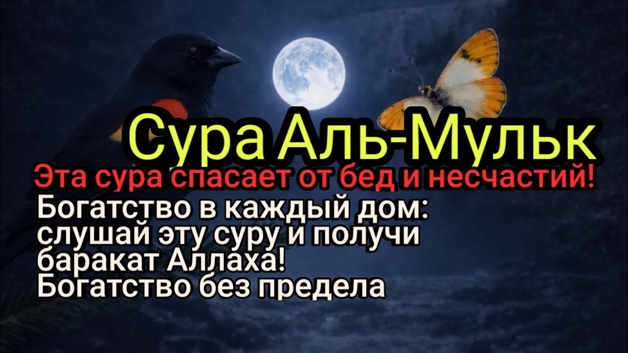 Богатство и спасение семьи: эта сура — щит от бед и несчастий!
