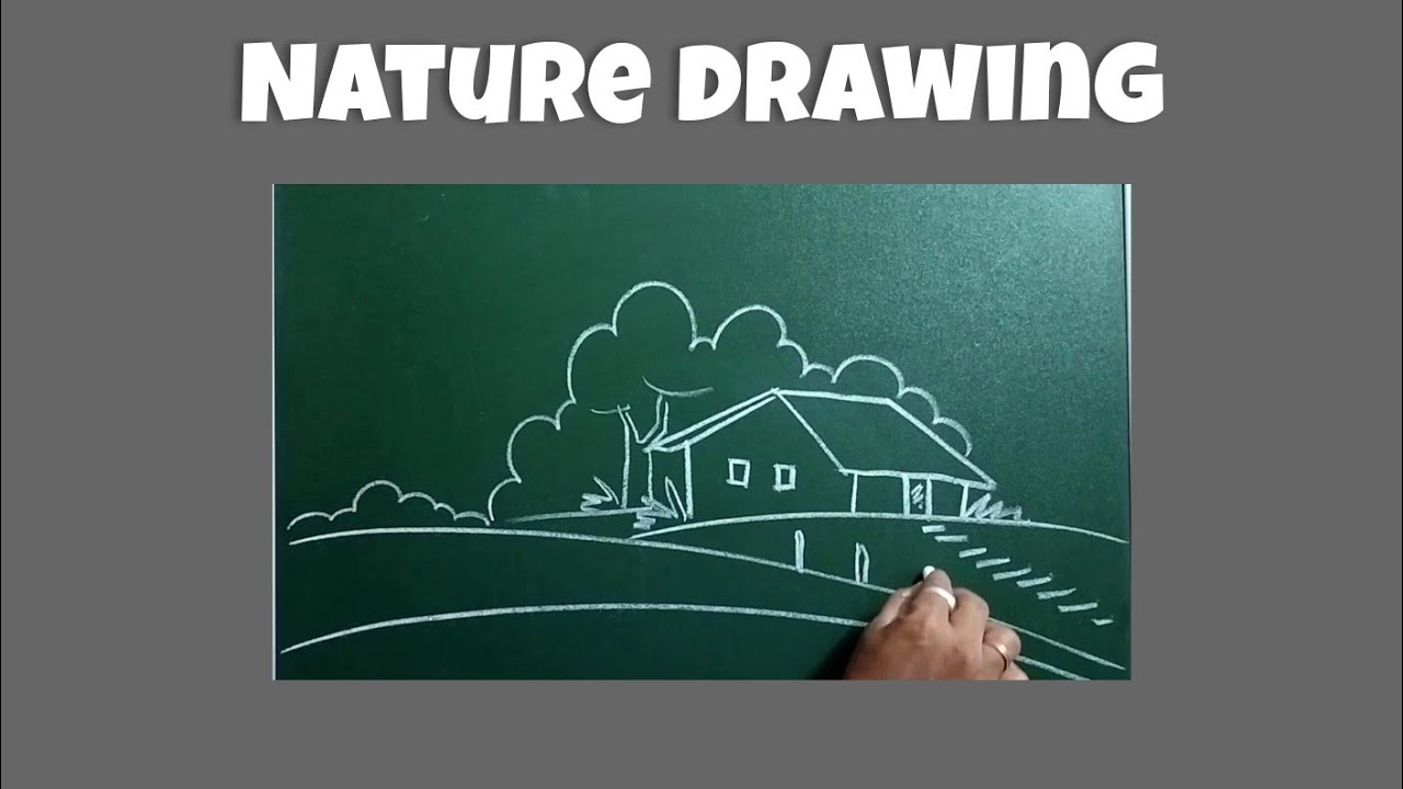 Blackboard Nature Drawing|step by step art| start to Beginner |easy drawing|landscap|