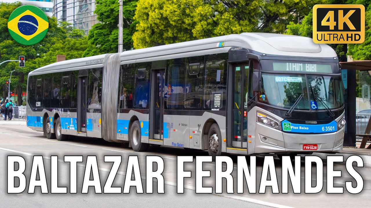 Parada Baltazar Fernandes (Avenida Chucri Zaidan) - Movimentação de Ônibus 