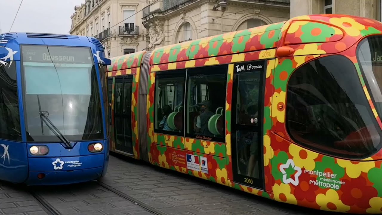 Tramways, bus urbains Montpellier et Mulhouse