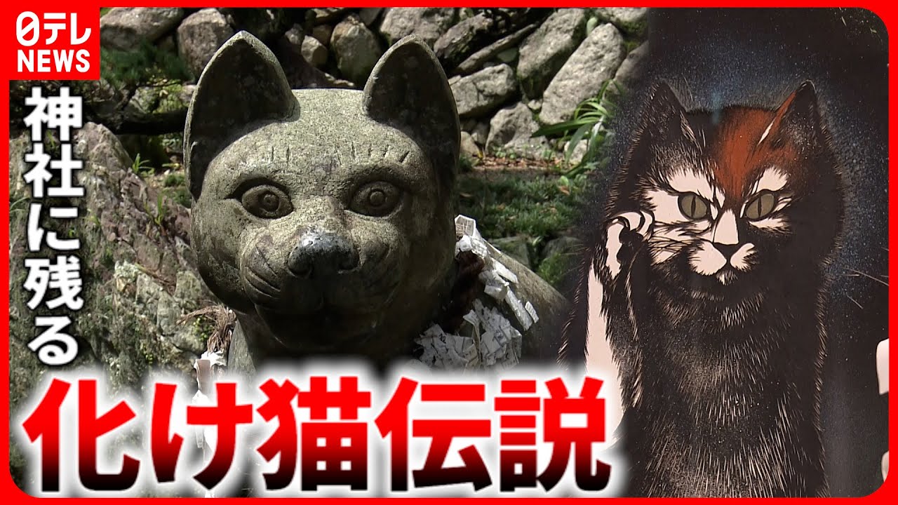 【妖怪】化け猫・河童・牛鬼… 徳島県内に残る妖怪の伝説と痕跡　NNNセレクション