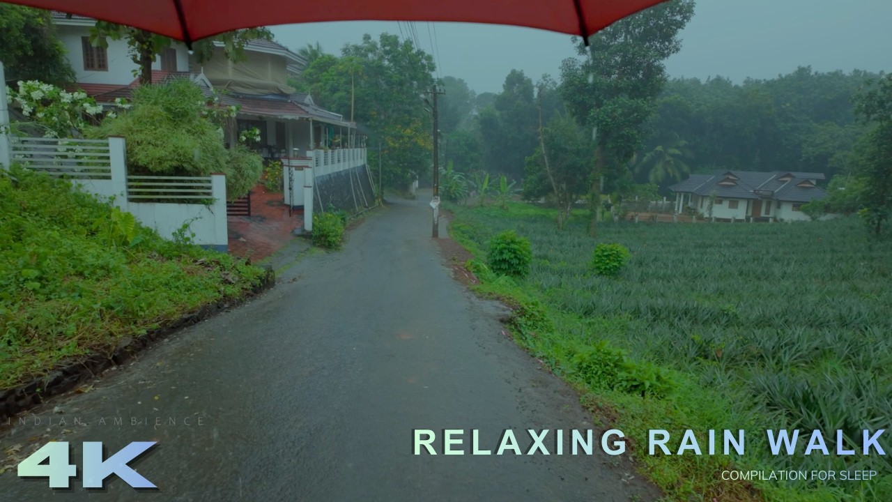 Peaceful Rain Walk in a Lush Countryside Village | Deep Sleep & Study Ambience (ASMR) | Compilation
