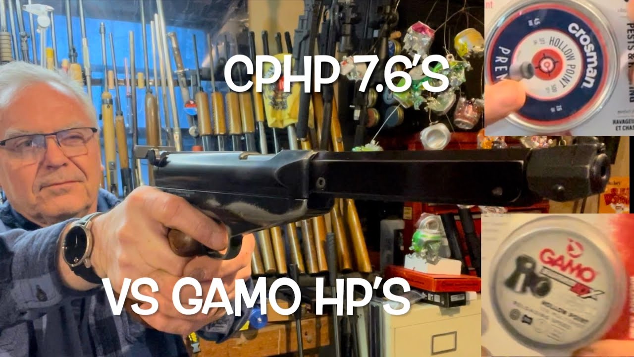 New Crosman premier hollow points vs Gamo Swarm 10x hollow points with the Feinwerkbau 65
