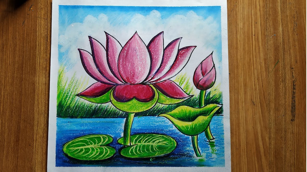 how to draw a lotus  in easy step by step,how to draw lotus flower with oil pastel color