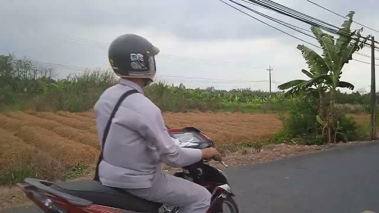 /đường làng quê nông trường Sông hậu cũ..
