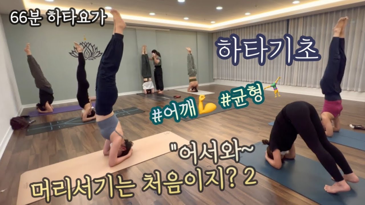 [엔젤요가] 하타기초 | 어서와~ 머리서기는 처음이지?  | 어깨💪 | 팔균형🤸‍♀️| 5분 부동으로 머물기