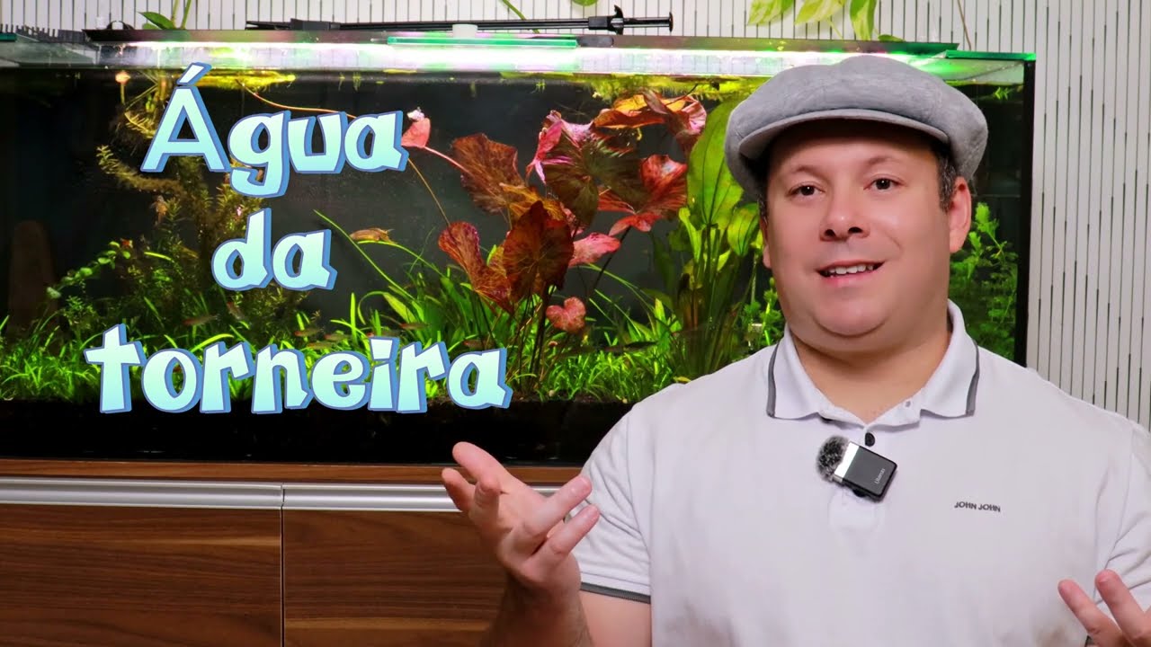 🔍 Por Que o pH do Seu Aquário Está Alto, mas o KH Está Baixo? Descubra Agora! 🐠💦