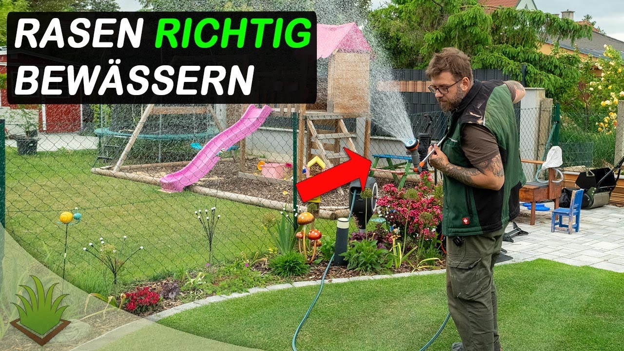 Vermeide diese Fehler beim Bewässern dann wird dein Rasen grün!