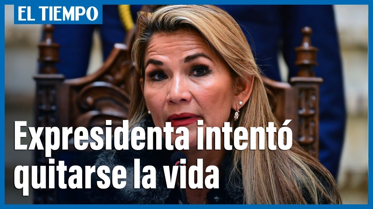Expresidenta de Bolivia Jeanine A&ntilde;ez intent&oacute; 