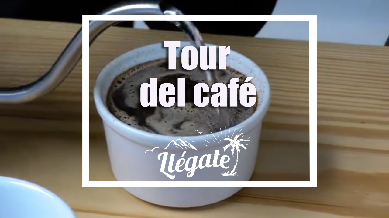 EL MEJOR TOUR DE CAFE  DE BOQUETE