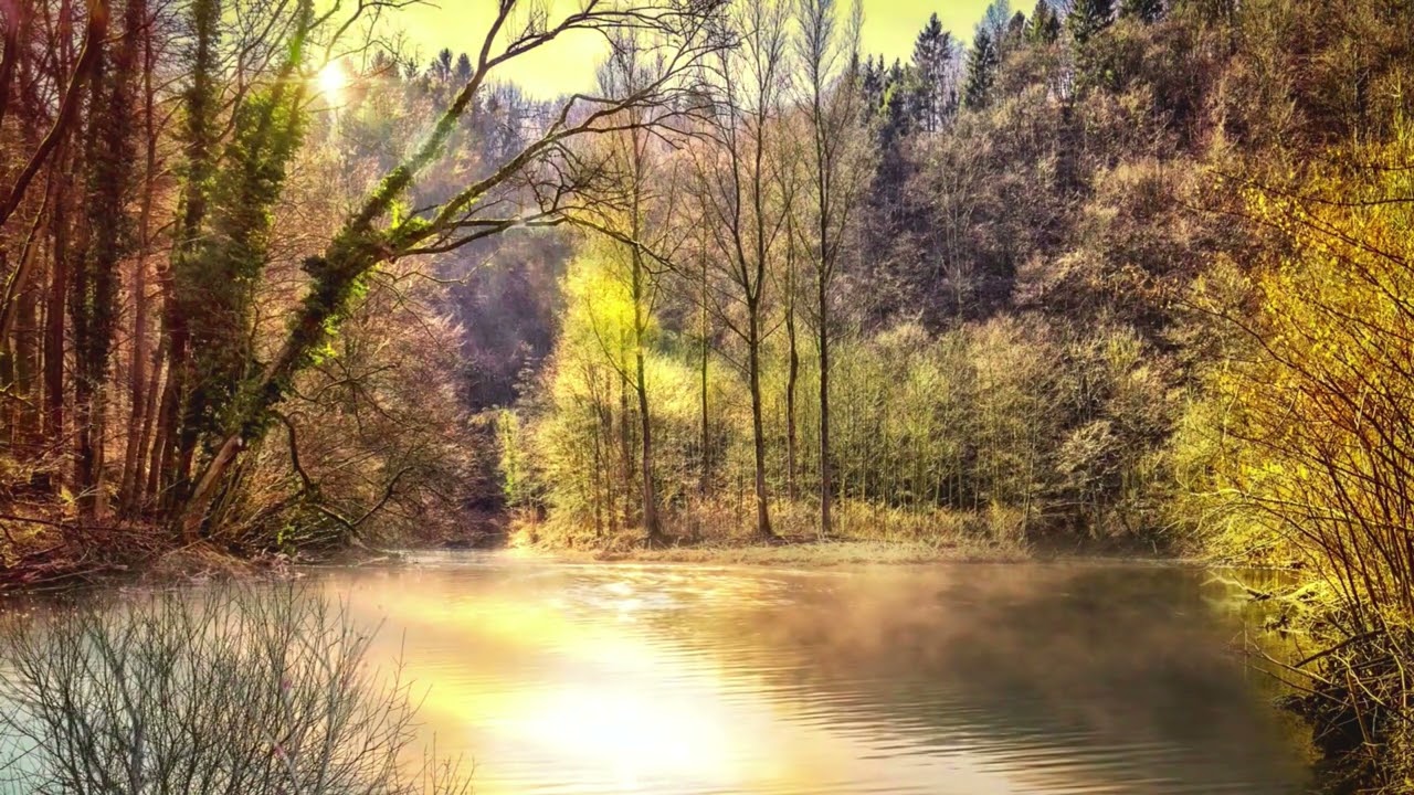 Heal your soul with quiet ambient piano and birdsong