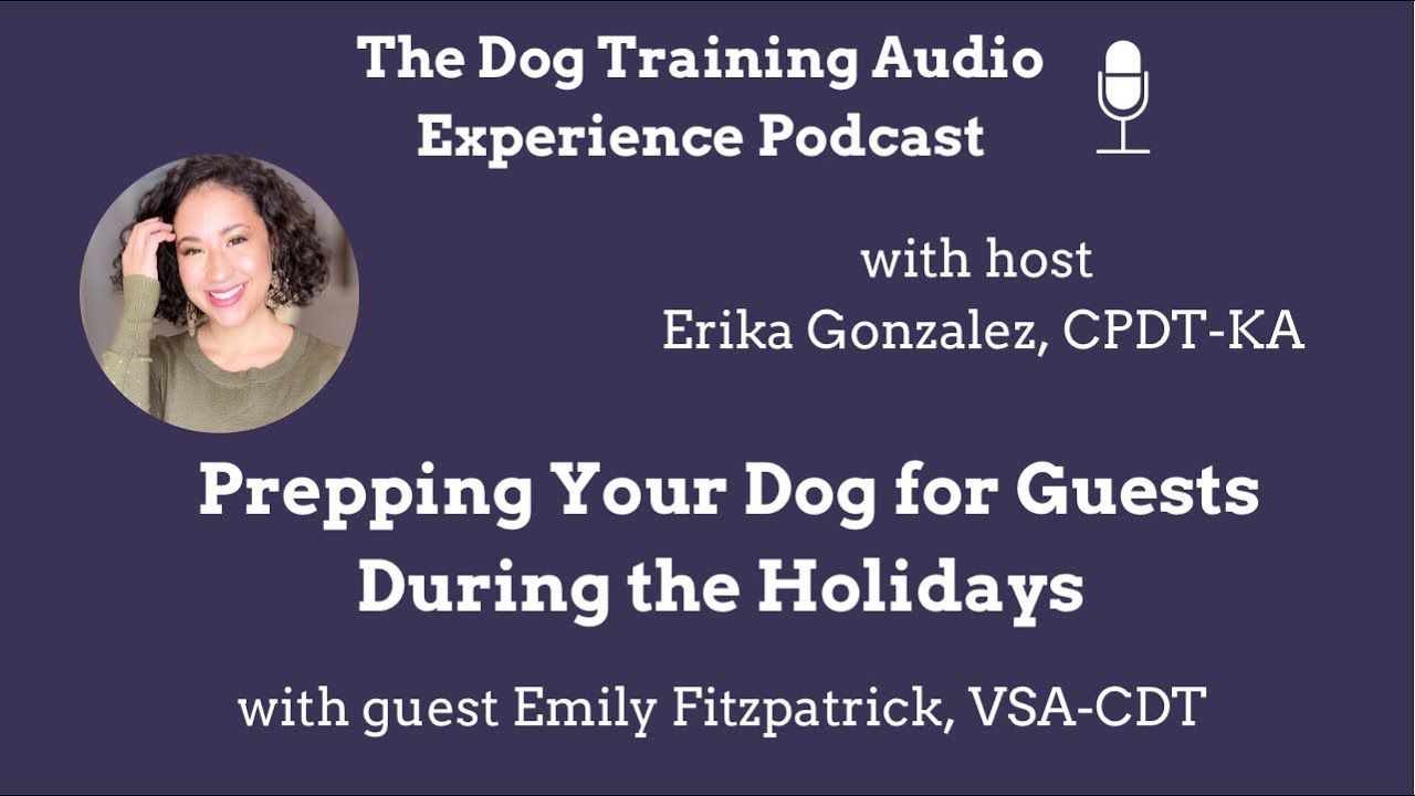 Prepping Your Dog for Guests During the Holidays - The Dog Training Audio Experience Podcast
