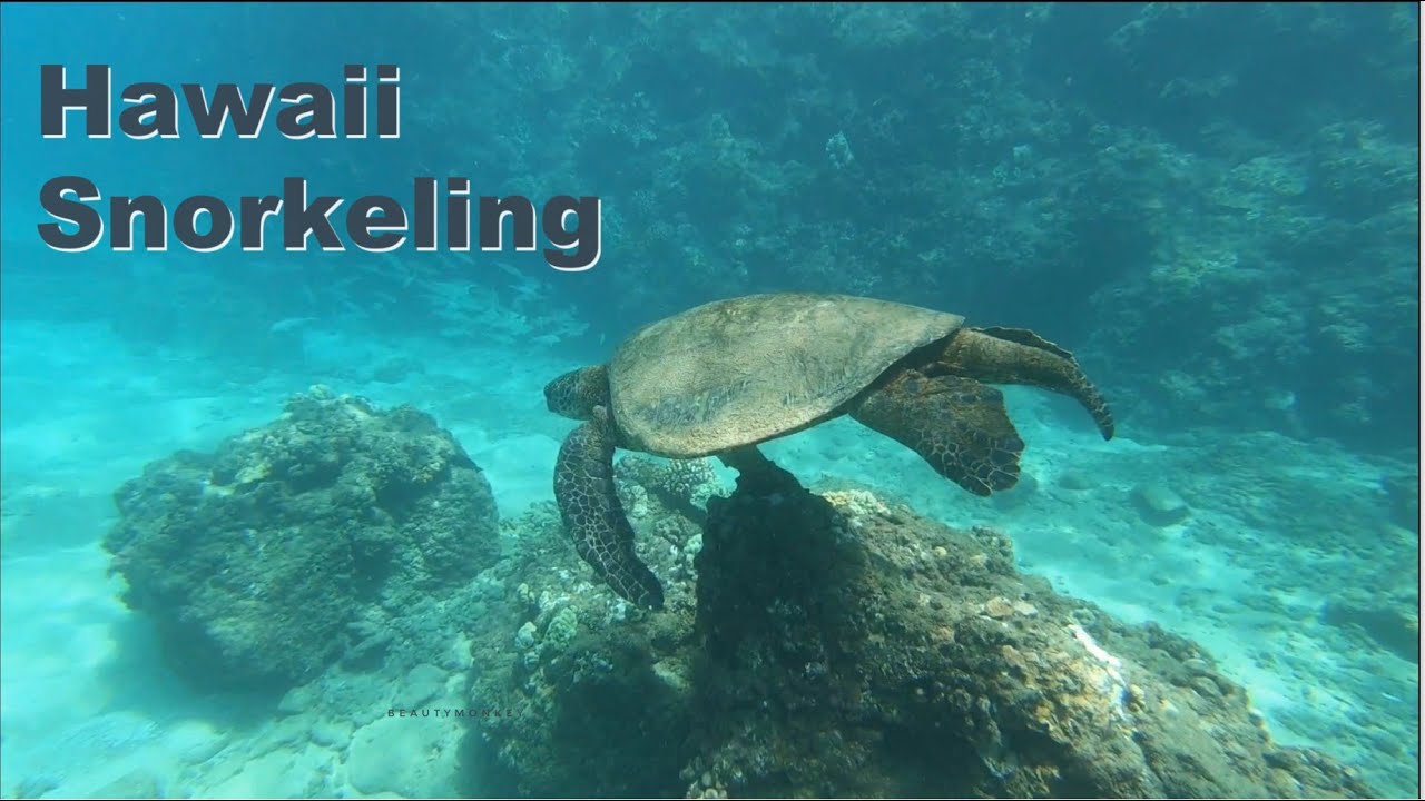Snorkeling at Black Rock on Maui (4K)