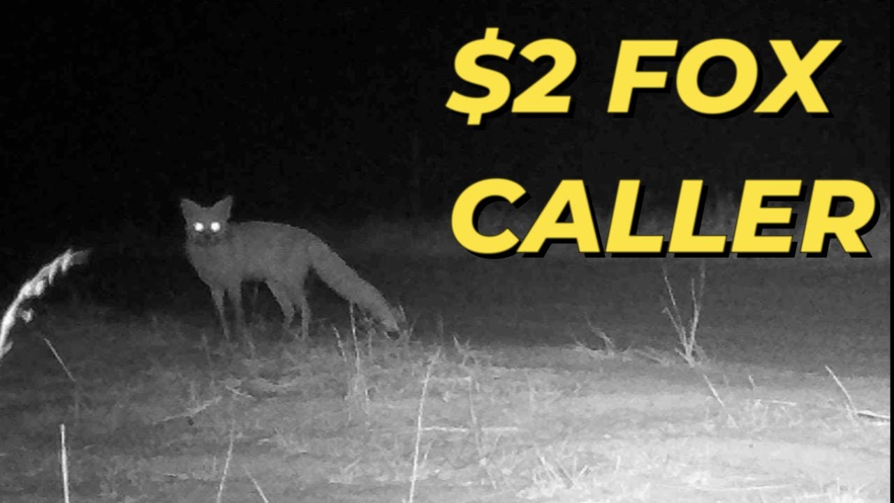 $2 ULTIMATE DIY FOX WHISTLE THAT IS  GUARANTEED TO WORK