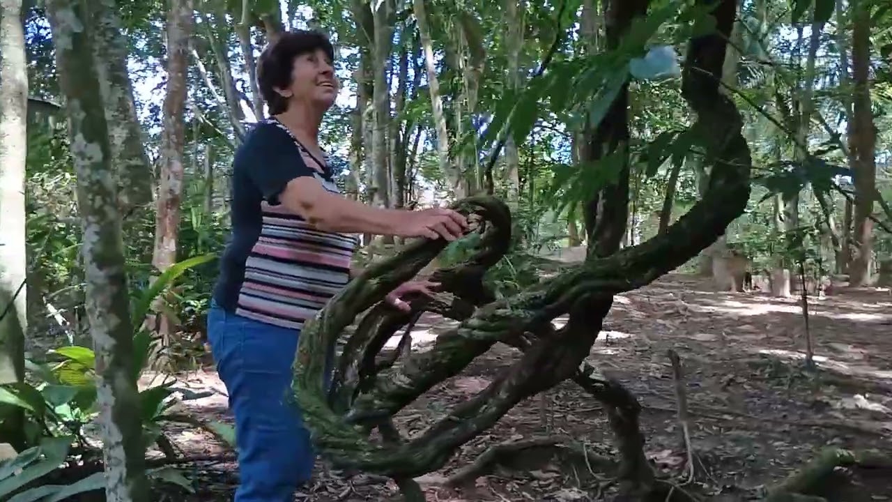 TRILHA 🥾 ECOLÓGICA - RECANTO DO JAKINHA EM PARELHEIROS - SP