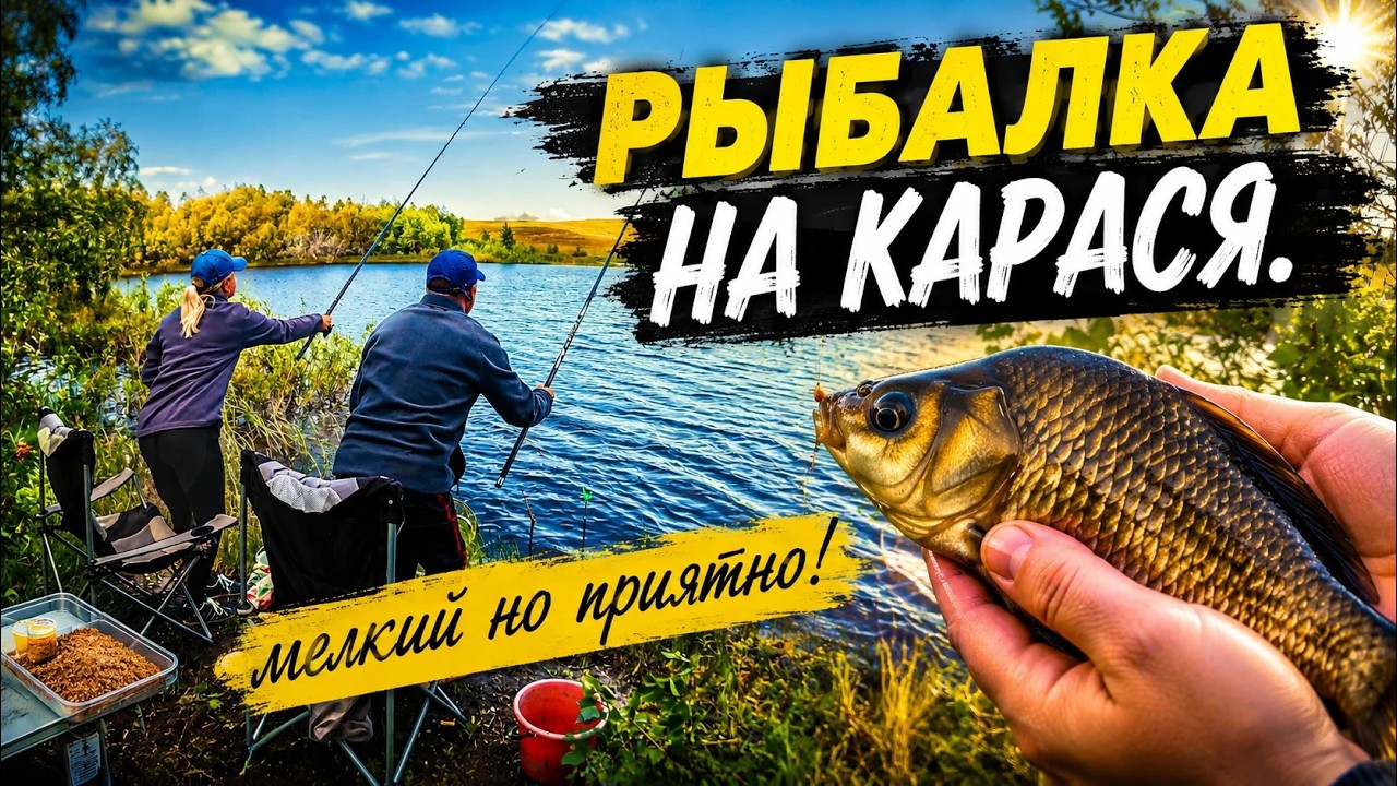 Летняя рыбалка на карася. Супер клёв!
