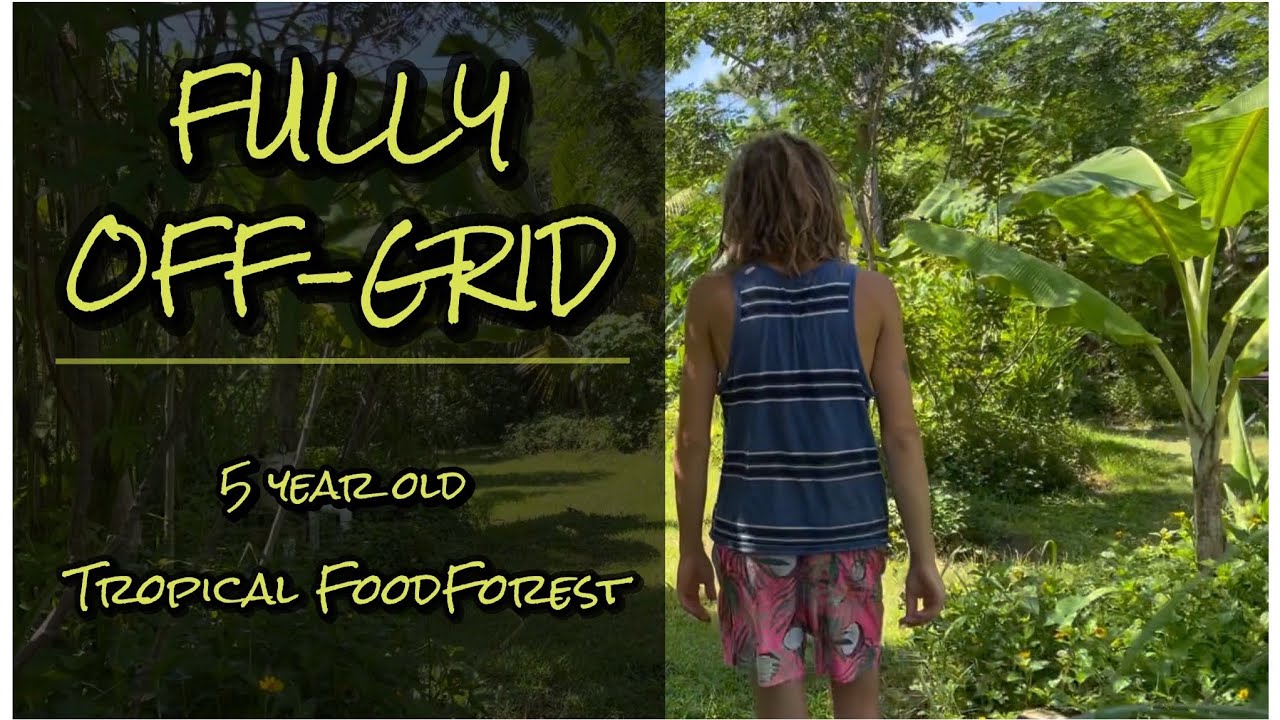 Back to the Basics: SWFL tropical fruit farm & nursery