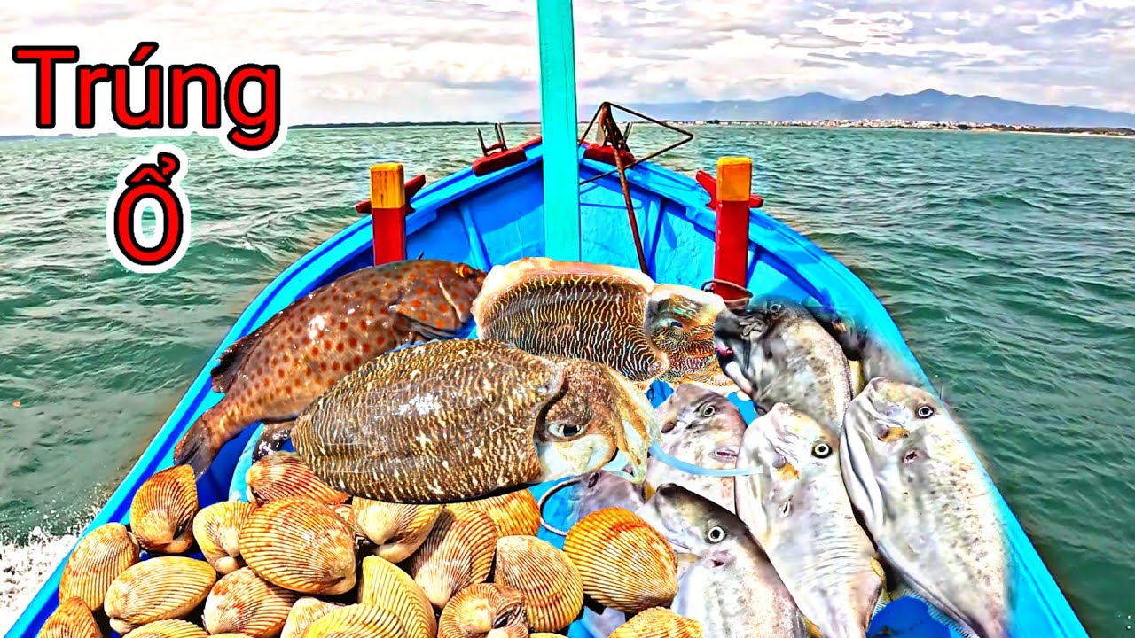 Rất Bất Ngờ Với Điểm Chà Này Gặp Hàng Khủng Mực Nang To Ổ Dương Cá Bò | P 619