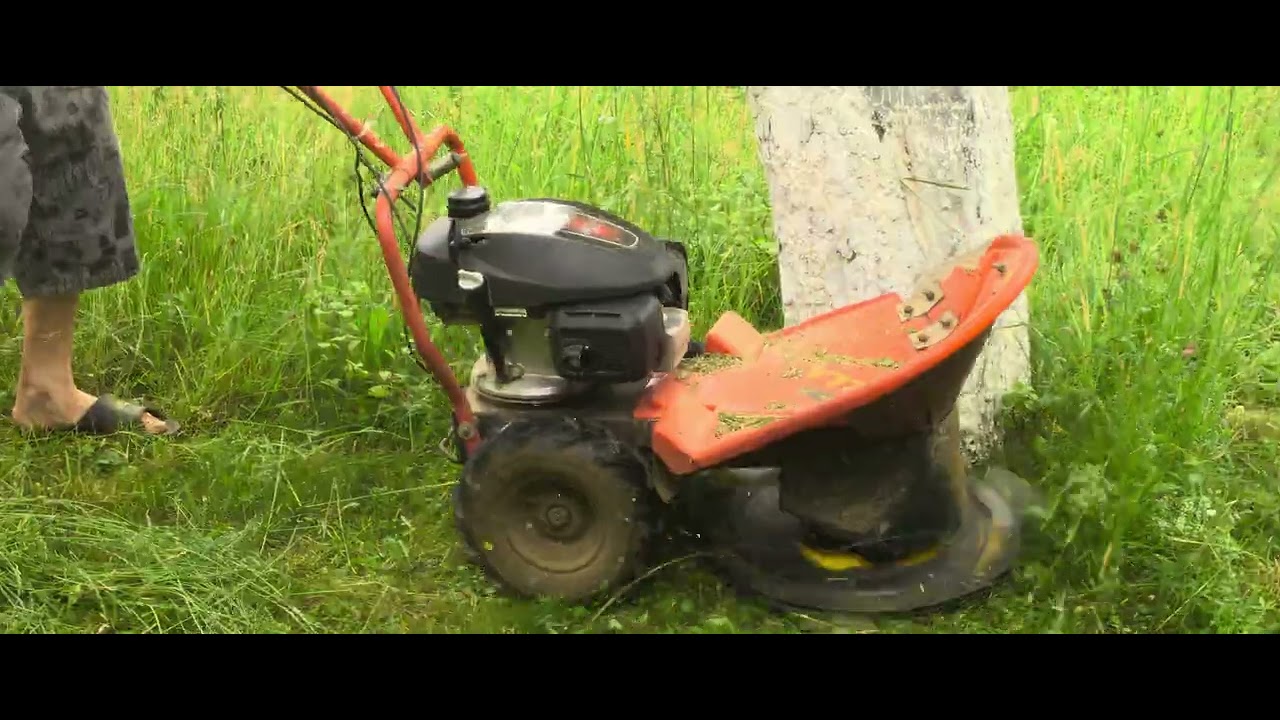Honda GCV 170 in Action: Cutting Grass with Vari Mower