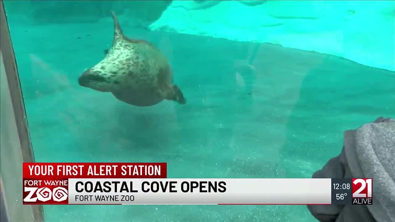 Fort Wayne Zoo formally opens revamped Coastal Cove exhibit