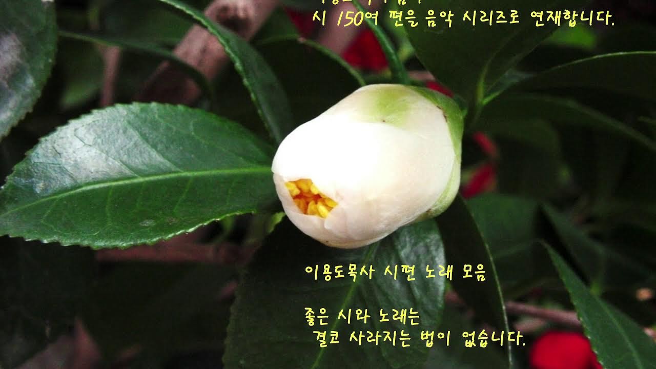 시무언 이용도목사 시편노래
