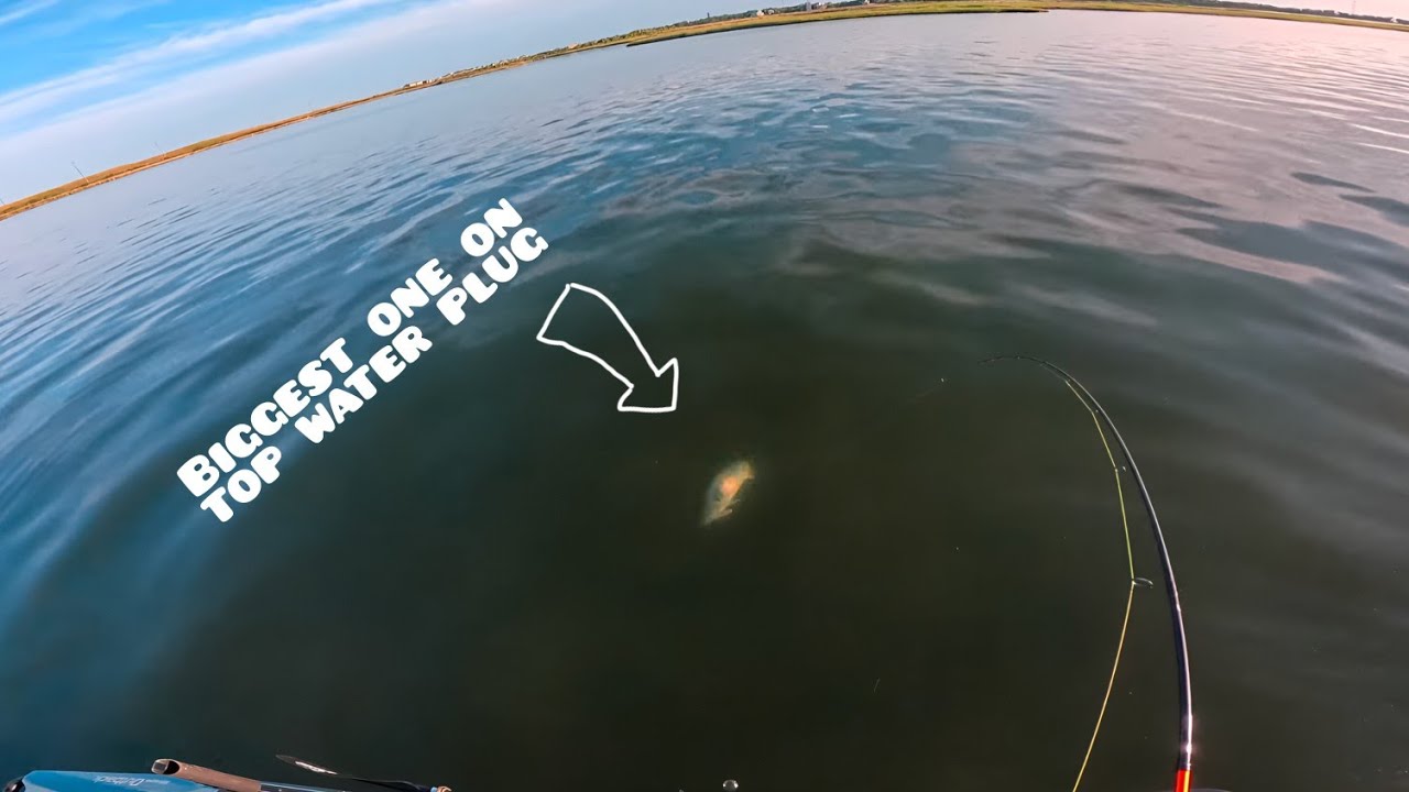 OBX Kayak Fishing The Pamlico Sound  Surprise Catches !