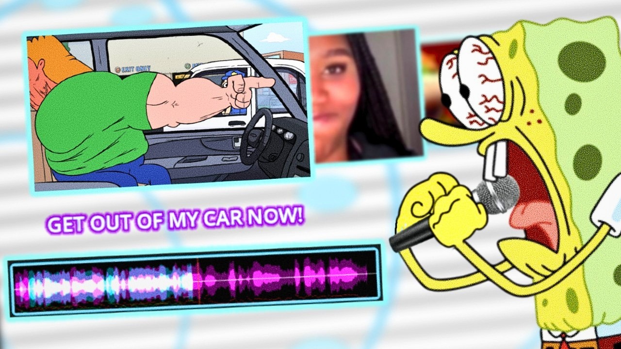 choicer voicer but i nearly lose my own voice...